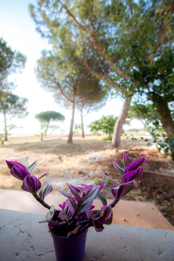 Masseria Sitamara Lecce Country house