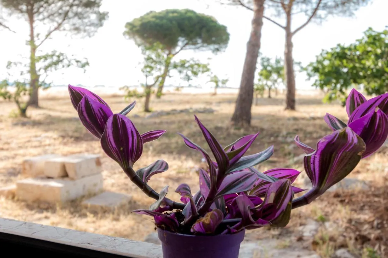 Country house Masseria Sitamara Lecce