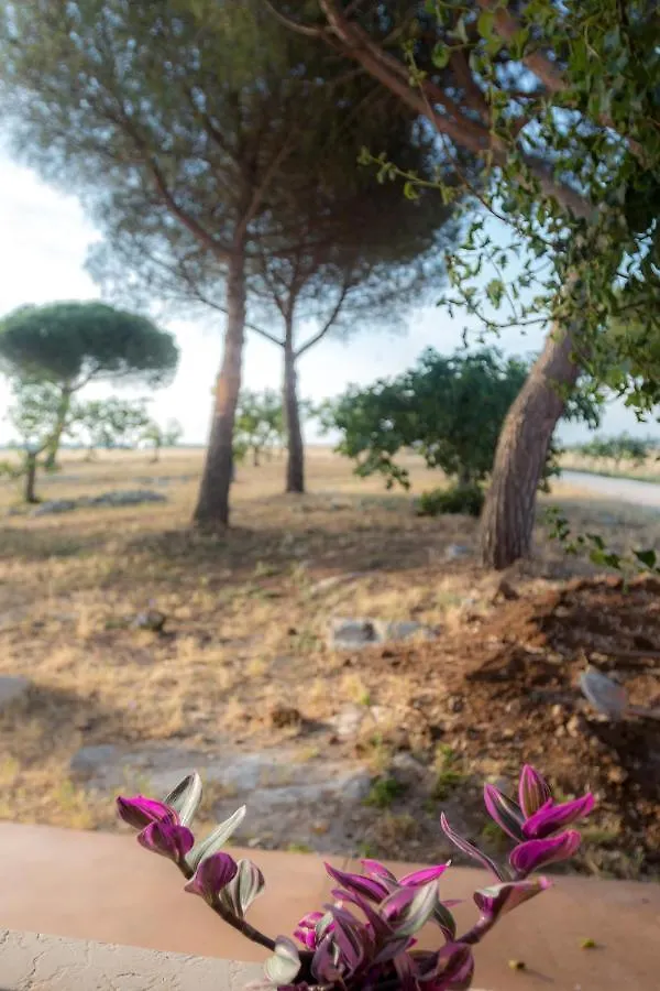 Masseria Sitamara Lecce 0*,